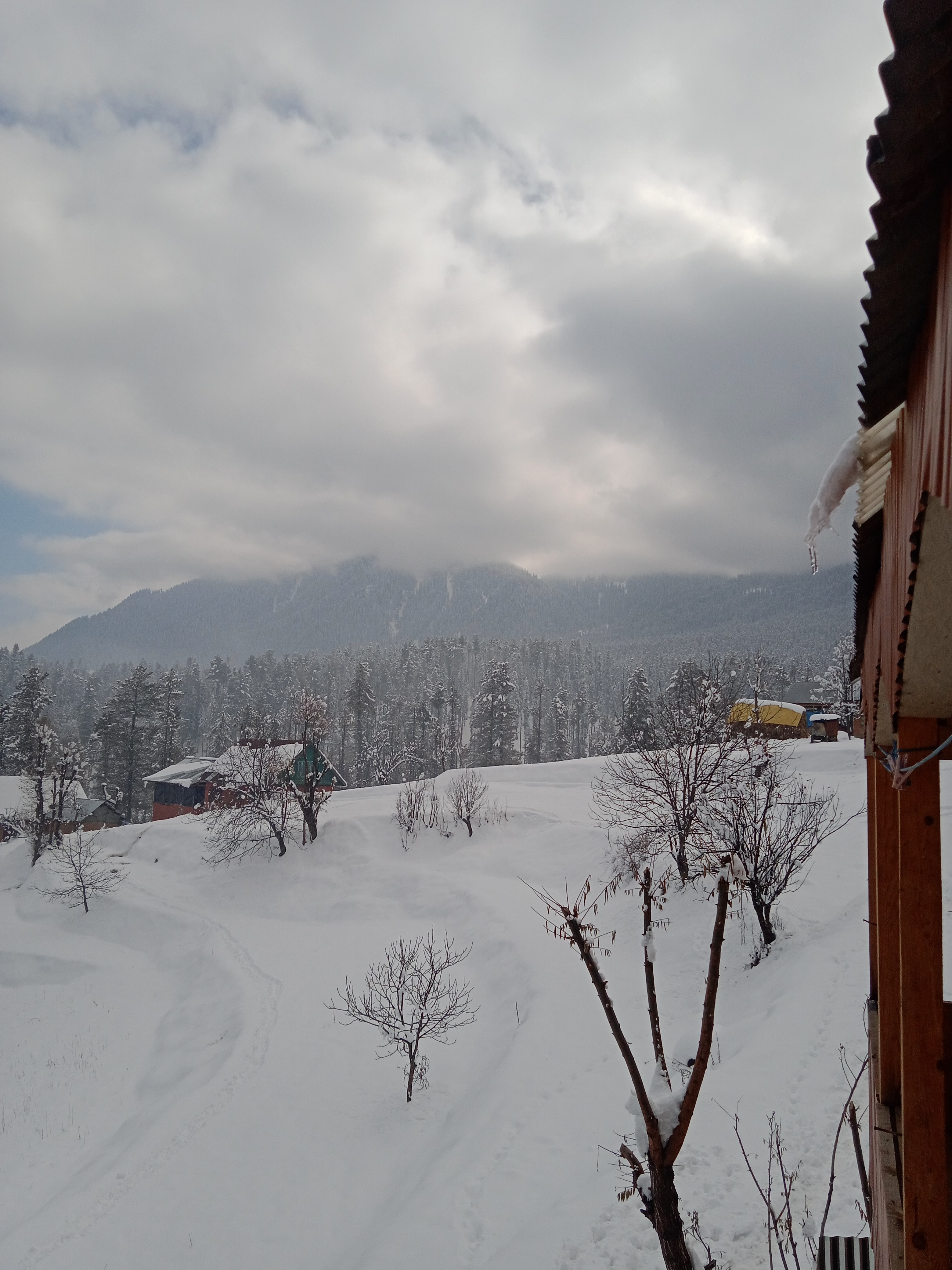 Kashmir Shepherd Life: A Gujjar–Bakarwal Learning Journey with Yousuf